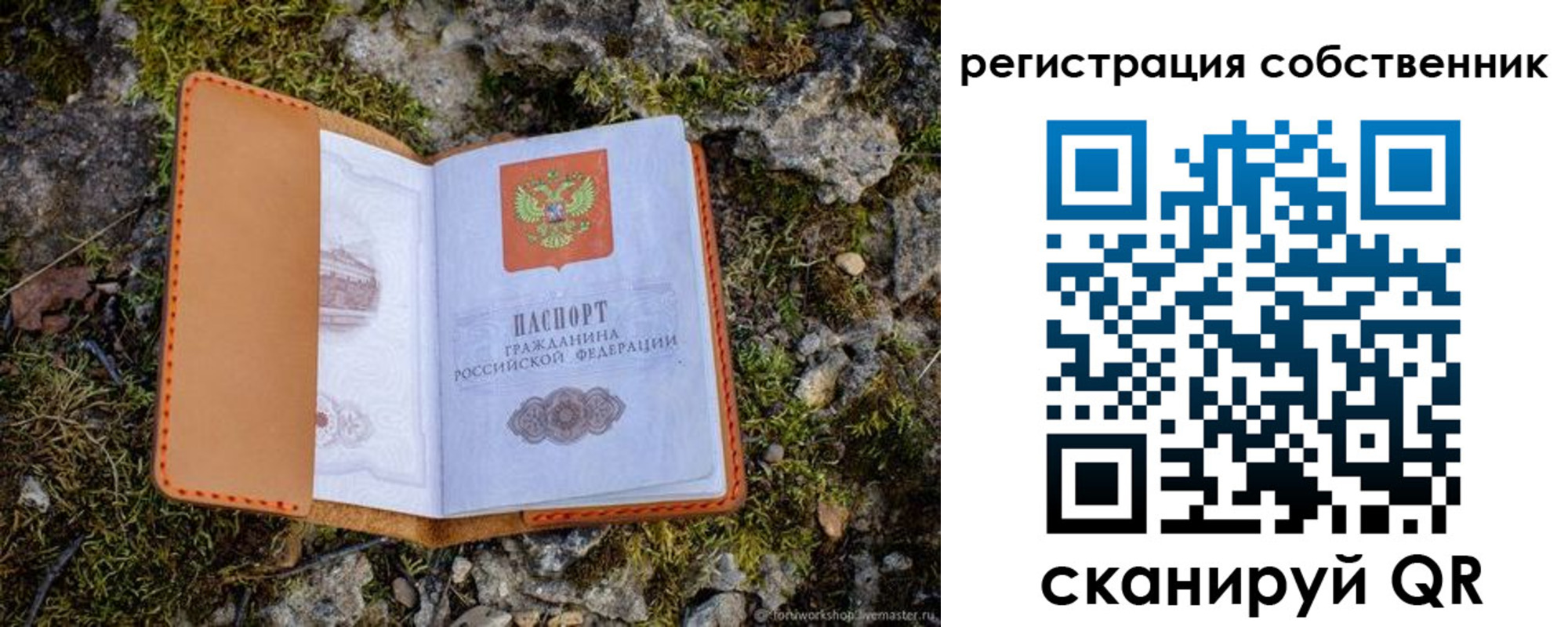 прописка поиск в Курчалом